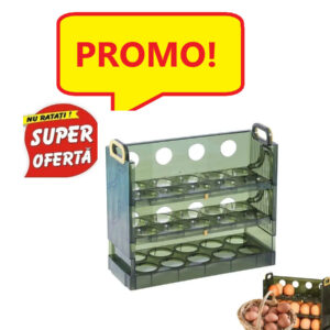 Cutie pentru depozitare oua, Transparent/Verde, cu 3 nivele, 0180BSL18