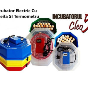 Incubator Electric Cu Cheita SI Termometru, Clocitoare 60 Oua Cleo 5, 01890