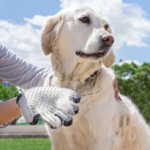 PERIE TIP MANUSA PENTRU ANIMALE DE COMPANIE 1+1